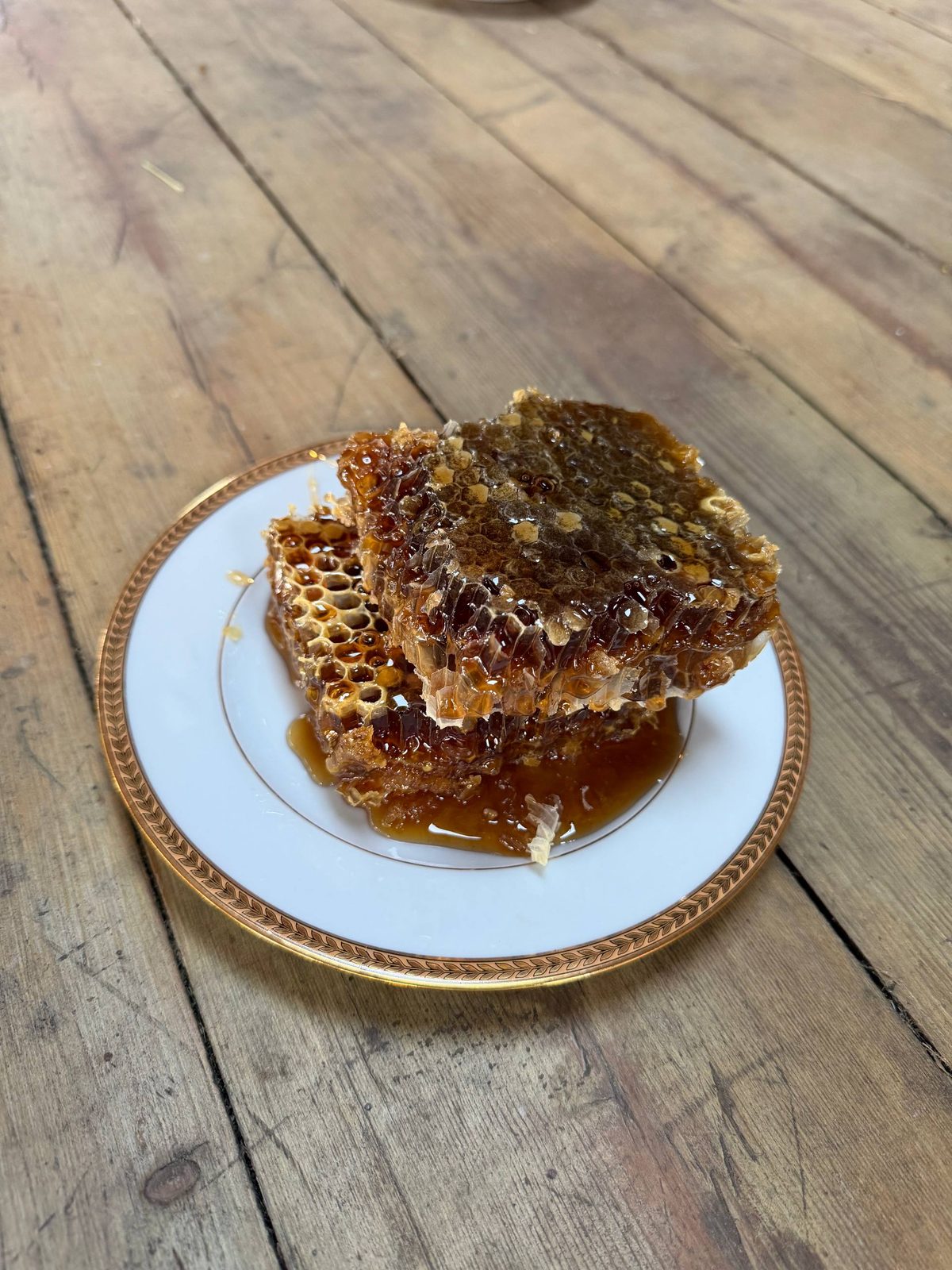 Comb honey — Heather
